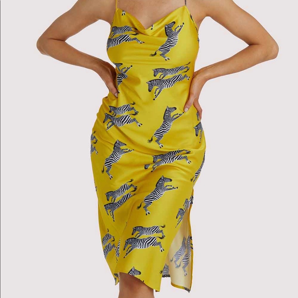Zebra Slip dress